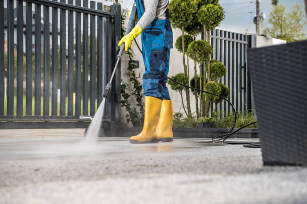 Best Driveway Pressure Washing  in Argos, IN